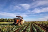 Najavljen treći međunarodni sajam poljoprivrede - AgroTerra Istra 2024.