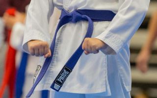 Muška karate reprezentacija brončana na EP-u