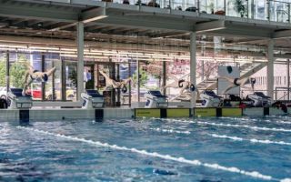 Zlatni medvjed slavi 40 godina uz olimpijske finaliste, svjetske medaljaše i hrvatske reprezentativce