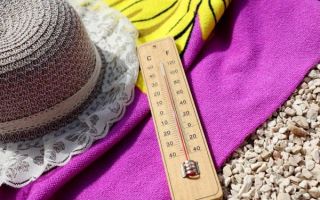 Ekstremna vrućina u Njemačkoj, zabilježena rekordna temperatura